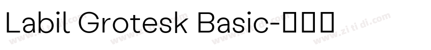 Labil Grotesk Basic字体转换